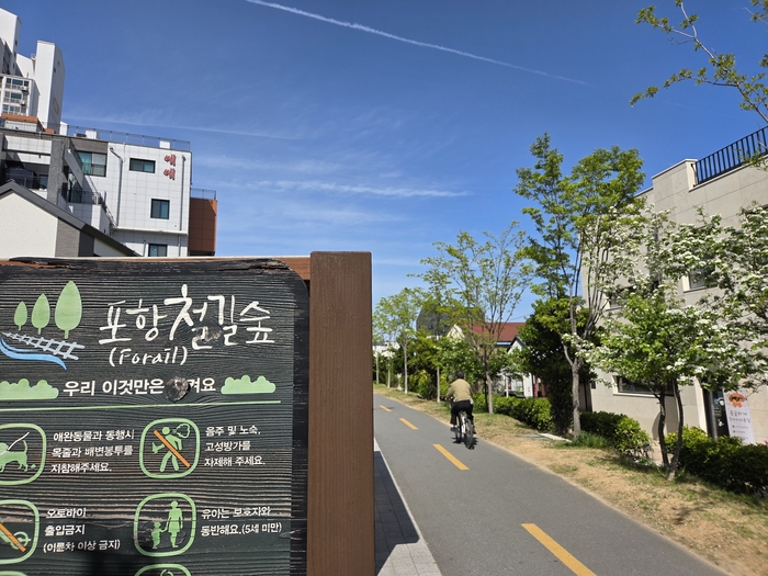 도심 한 가운데 위치한 포항 철길숲이 봄 향기를 뽐내고 있다. <전준혁기자>