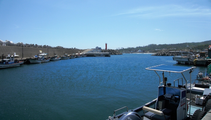 가곡항. 가곡은 감포읍 대본리의 중심마을로 국가어항인 감포항을 제외하고 동경주 16개 어촌계 가운데 어선 수가 가장 많은 마을이라 한다.