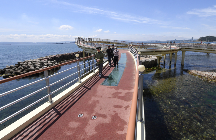 환호공원 아래는 두호항, 환호항, 여남항으로 이어지는 해안도로가 있다. 여남 끝마을의 스카이워크는 바다 위를 걷는 느낌을 준다.