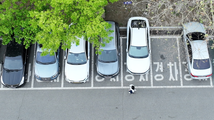 지난 19일 대구 달서구 두류공원 주차장에서 경차 전용 주차구역에 일반 차량들이 주차돼 있는 가운데 한 시민이 주차장을 지나가고 있다. 경차 전용 주차구역은 온실가스 감축과 에너지 절약을 위해 도입됐지만 단속 규정이 없어 실효성이 떨어진다는 지적이 나오고 있다.이현덕기자 lhd@yeongnam.com