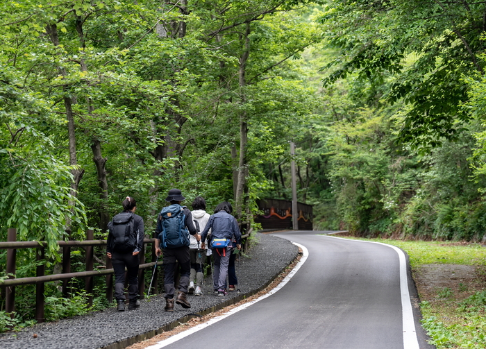 봄철 걷기 명소 동서트레일 영주 구간이 주목 받고 있다. <영주시 제공>