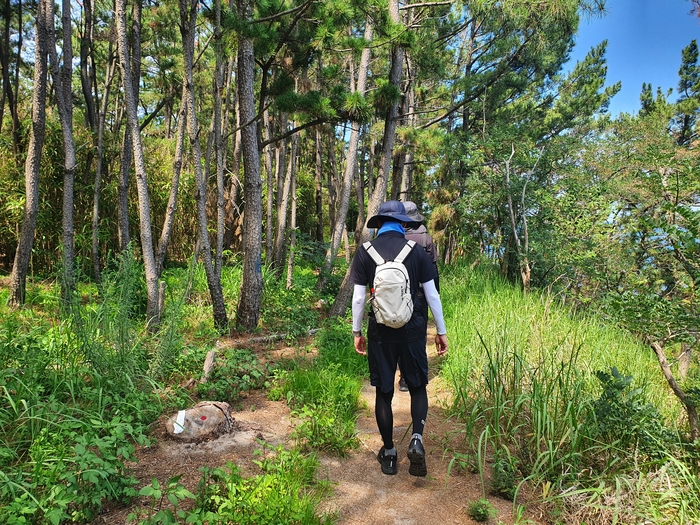 이세동(35)씨가 지인과 함께 죽령옛길 숲길을 걷고 있다. 영주 동서트레일 41-1구간은 걷는 재미와 쉬는 맛, 옛길의 정취를 한 번에 품고 있다. <권기웅기자>