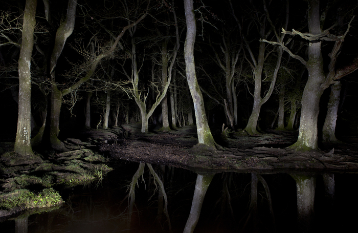 김신욱 작. <갤러리청담 제공>
