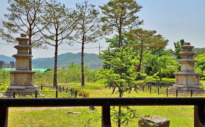 봉화 춘양면 서동리 동·서 삼층석탑 전경. 들녘과 소나무 숲 사이에 마주 선 두 기의 석탑은 통일신라 쌍탑식 가람의 흔적을 보여준다. 황준오기자