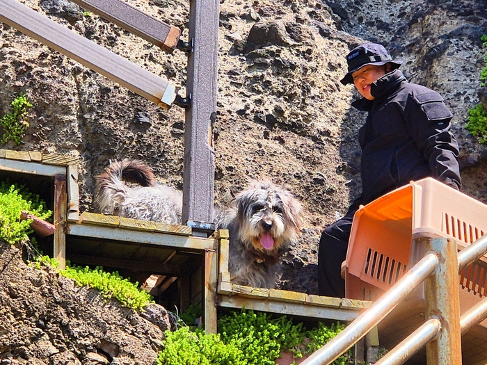 독도 경비대원들과 함께 생활하는 삽살개. 홍준기 기자