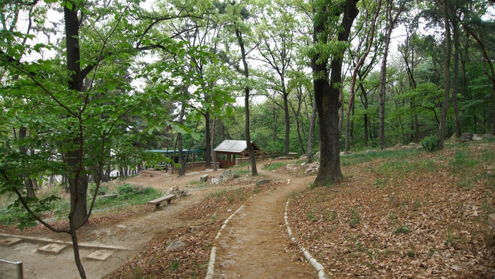 숲속 책 쉼터 배후의 숲이 멋지다. 청량한 숲 속에 산책로와 명상을 위한 소박한 시설물들, 황토볼 장과 오두막 쉼터, 어르신 놀이터와 운동기구들이 마련되어 있다.