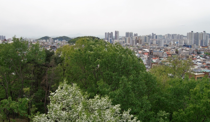 전망대의 일몰은 여름에는 와룡산 너머로 해가 지고 가을로 접어들면 점차 가야산 쪽으로 옮겨진다고 한다. 전망대를 기준으로 서북쪽이다.