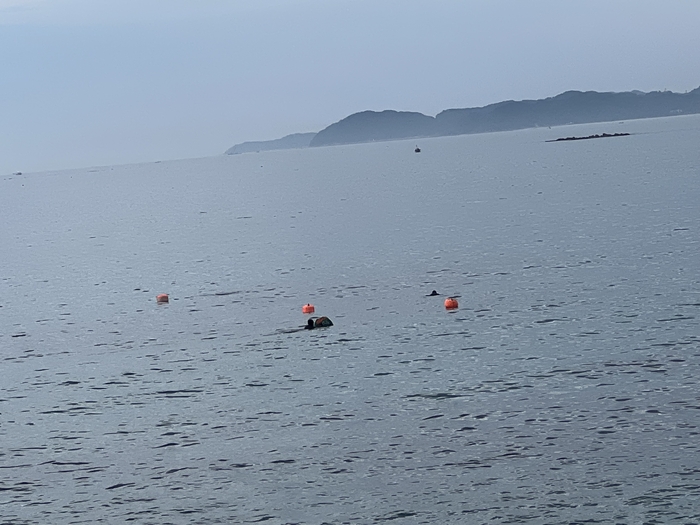 사건장소와 관련없음, 죽변 바다 모습.<원형래기자>