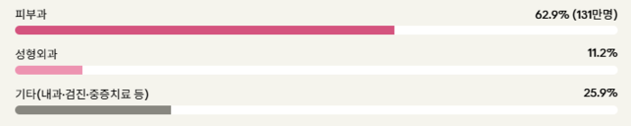 전국 외국인 환자 진료과목 쏠림. <그래프=생성형 AI>