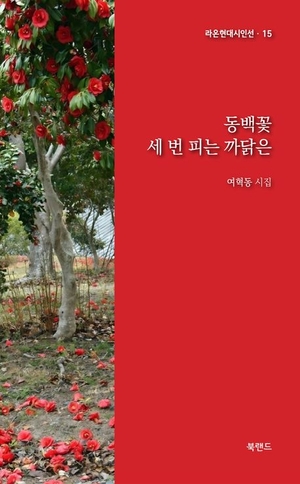 동백꽃 세 번 피는 까닭은