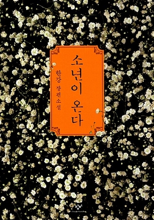 한강 작가의 대표작 소년이 온다(창비) 표지. <알라딘 제공>