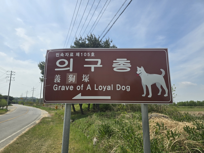 구미시 해평 의구총(義狗塚) 표지판<박용기 기자>