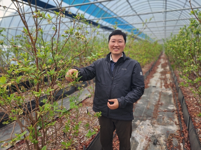 김영성 이장이 보문면 오암2리 자신의 비닐하우스에서 블루베리 재배에 대한 설명을 하고 있다. <장석원기자>