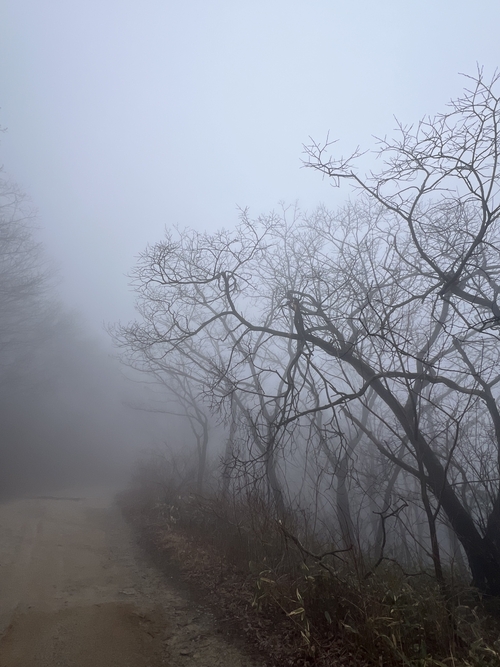 지난달 지리산 노고단의 풍경. 슬픔을 말리는 일은 거창하지 않아도 된다. 산길을 걷거나 시골장에서 제철 나물을 사거나, 안개 낀 숲길을 걷거나, 이 모든 일상에 집중하다보면 언젠가는 평안에 다다르겠지. <본인 촬영>