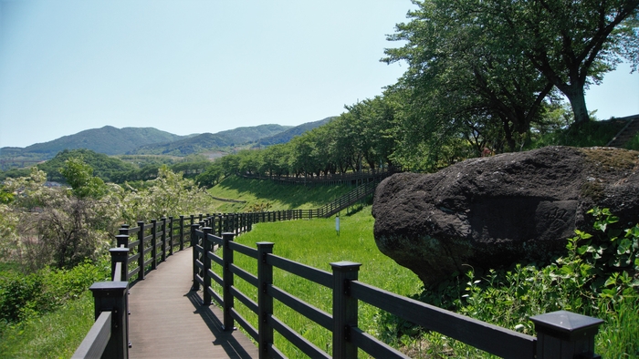회양관광단지 수변을 따라 데크 산책로가 꽤 길게 이어진다. 상부에 늘어선 나무들은 벚나무다. 광암정 근처 큰 바위에 각자가 있는데 많이 마모되어 읽기가 어렵다.