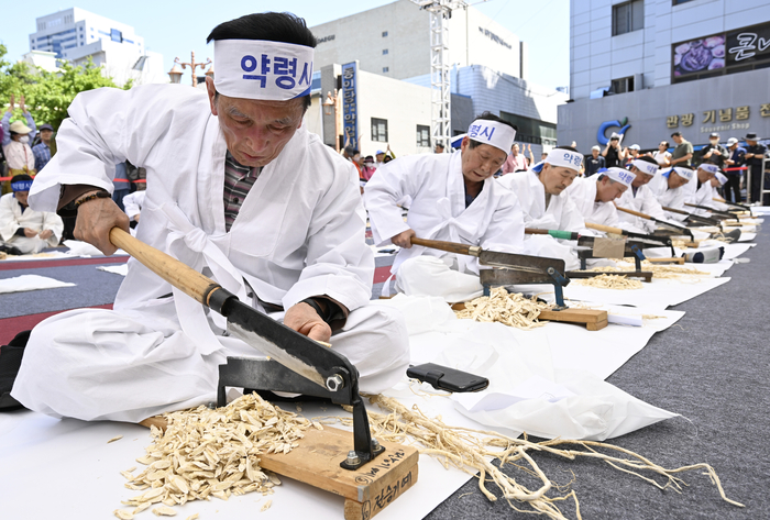 10일 오후 대구 중구 약령시 일대에서 열린 전승기예(한약재썰기) 경연대회에서 참가자들이 작두로 황기를 썰고 있다.
이윤호기자 yoonhohi@yeongnam.com
