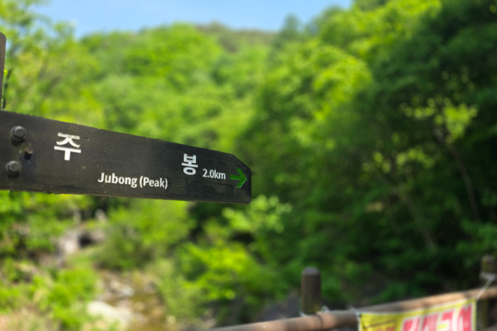 강군은 지난 10일 주왕산 주봉을 오르겠다며 사라졌다. <정운홍 기자>