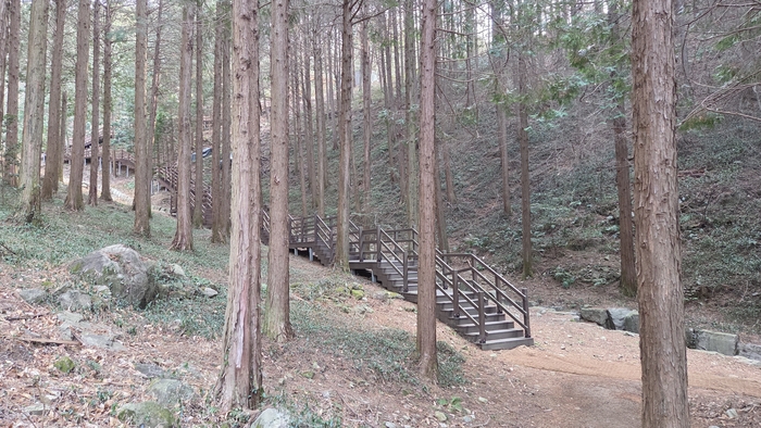 고성 갈모봉은 조선시대 의적 갈봉의 묘가 있었다는 데서 유래됐다. 이곳에는 편백나무가 청정한 트레킹 로드가 있다.