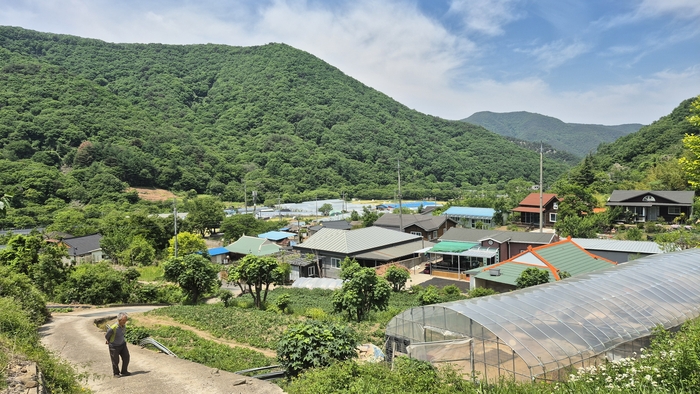 경주시 산내면 대현2리 시다마을 전경. 마을에서 만난 이영봉 어르신이 사진 찍기 좋은 곳이라며 길을 안내하고 있다.  <장성재 기자>