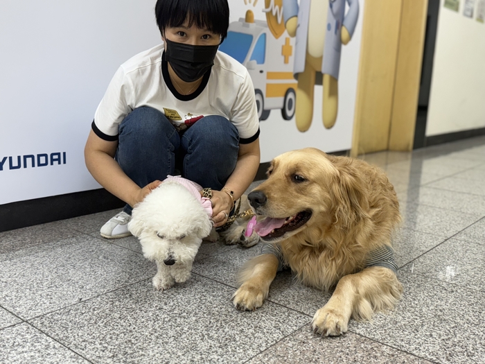 지난 29일 오전 대구 북구 대현동 경북대 수의과대학 부속동물병원 KNU 아임도그너 헌혈센터를 찾은 골든리트리버 하늘이(3·오른쪽)와 보호자 박선영(45)씨. 구경모기자 kk0906@yeongnam.com