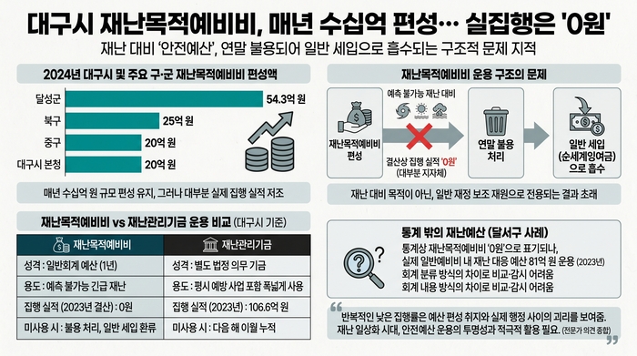 재난 목적 예비비 편성은 수십억 집행은 0원 <AI이미지 생성>