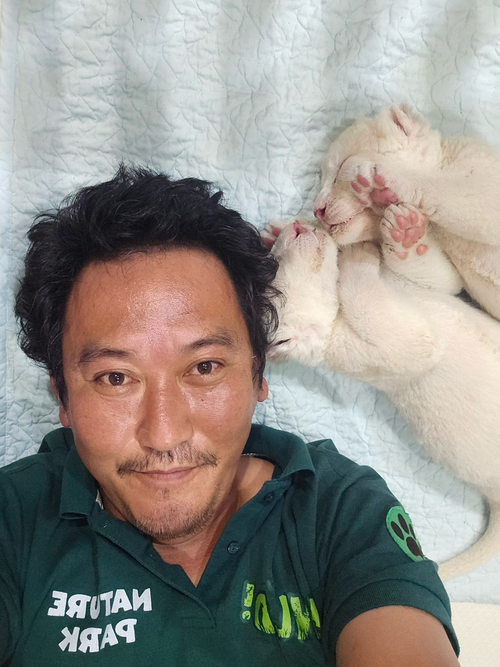 전근배 사육사가 갓 태어난 백사자 남매와 포즈를 취했다. <전근배 팀장 제공>