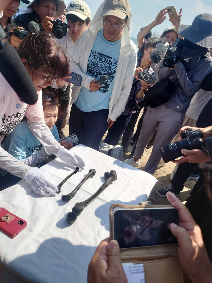 지난해 8월25일 일본 야마구치현 우베시에 있는 조세이 탄광 사고 현장에서 일본 시민단체 조세이탄광 수몰 사고를 역사에 새기는 모임이 잠수부를 동원해 발굴한 유해를 공개하고 있다. 조세이탄광희생자귀향추진단 제공