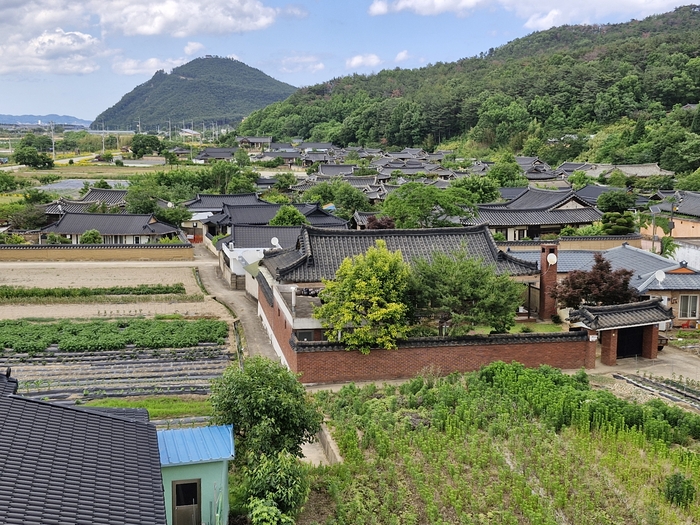전통 한옥과 토담장이 어우러진 영덕 괴시마을 전경. 국가민속문화유산으로 지정된 마을은 800년 세월 동안 이어져 온 전통 마을의 모습을 오늘날까지 간직하고 있다. <남두백기자>