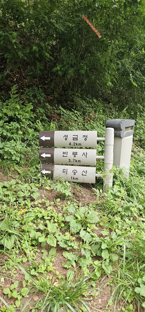 미숭산 정상을 가르키는 안내판 <석현철 기자>