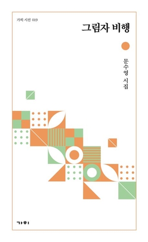 그림자 비행