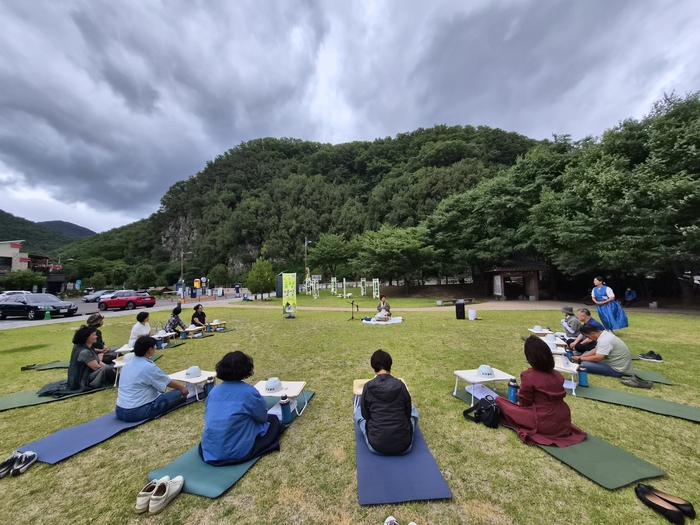 대구 동구 도동 측백나무 숲 일대에서 진행된 숲향&명상 프로그램에 시민들이 참여하고 있다. 강명주 시민기자