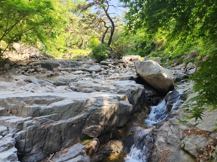 불법시설 철거 후 대구 팔공산 국립공원 내 계곡이 본래 모습을 되찾은 모습. 천막과 제단 등 점용 시설물이 사라지면서 바위와 물길이 드러나고, 주변 자연경관이 복원됐다.<대구시 제공>