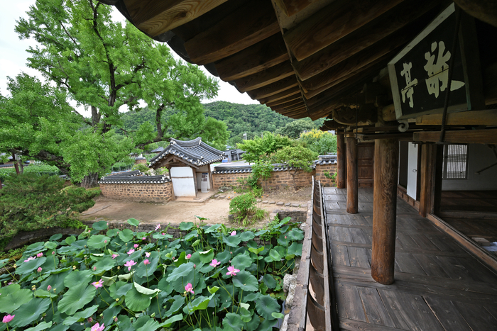 서석지의 주 건물인 경정. 마루에서 내려다보이는 꽃과 돌과 나무 그리고 흙돌담이 그림 같은 풍경을 선보인다.