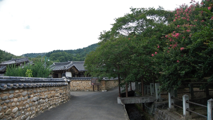 높직한 흙돌담은 고려담, 개울가 배롱나무 정원은 자미단이다. 협문 너머 자미정 지붕이 살짝 보이고, 왼쪽의 삼문은 고려동 종택의 삼문이다.