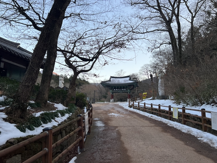해남 대흥사 입구. 겨울에 가면 대흥사 올라가는 길이 참 조용하고 특유의 운치가 있다. <본인 제공>