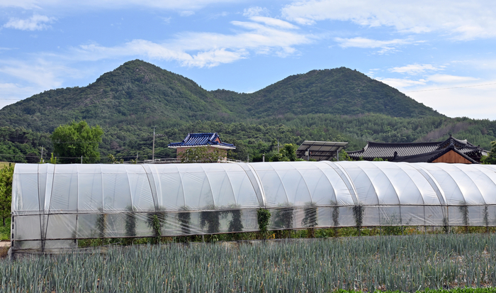 경북 영덕군 축산면 상원마을 뒤로 고래산이 보인다. 고래산은 의병장 신돌석 장군이 군사훈련을 했던 곳이다.