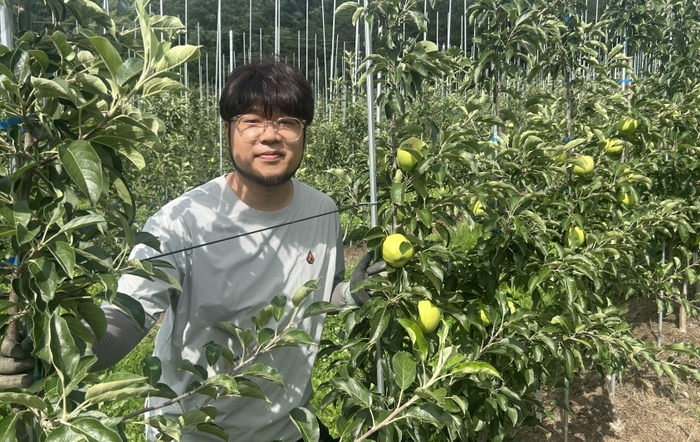 박준호 씨가 봉화군 법전면 풍정리 사과 과수원에서 수확을 앞둔 사과의 생육 상태를 살펴보고 있다. 황준오기자