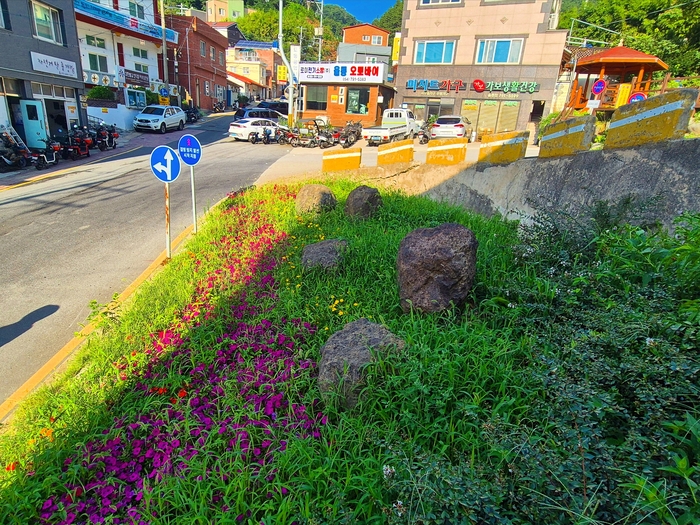 울릉읍 도동 삼거리에 조성된 화단이 풀밭으로 변해 있다. <홍준기 기자>