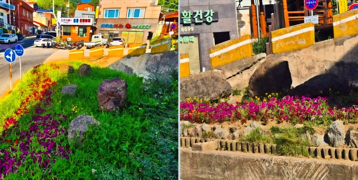 잡초가 무성했던 울릉일주도로 주변과 주요 화단은 대부분 예초와 정비가 완료돼 말끔한 모습을 되찾고 있다. <홍준기 기자>
