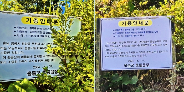 무성한 잡초에 가려 있던 안내 간판이 정비 후 기증자의 당부 말이 잘 보이고 있다. <홍준기 기자>