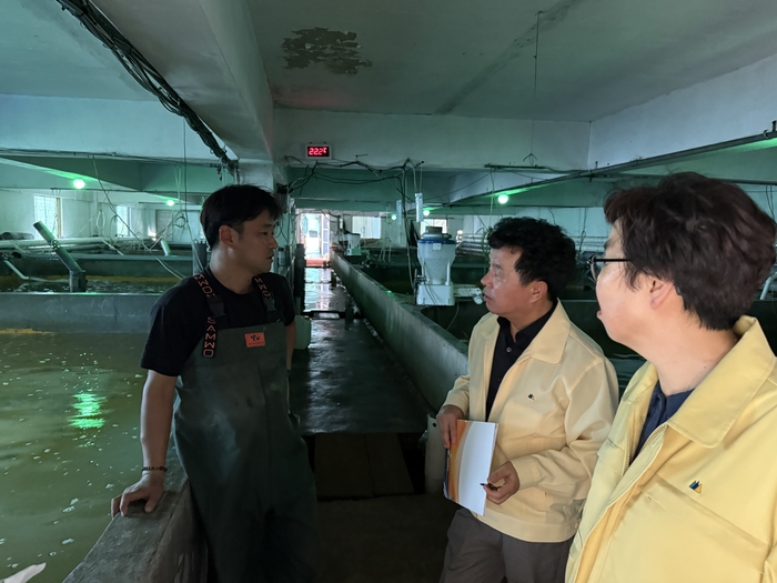 지난달 29일 오전 최영숙 경북도 환동해지역본부장이 경북 포항시 남구 구룡포읍의 남양수산을 찾아 강도다리 사육 수조를 살펴보며 고수온 대응 상황을 점검하고 있다. 구경모 기자