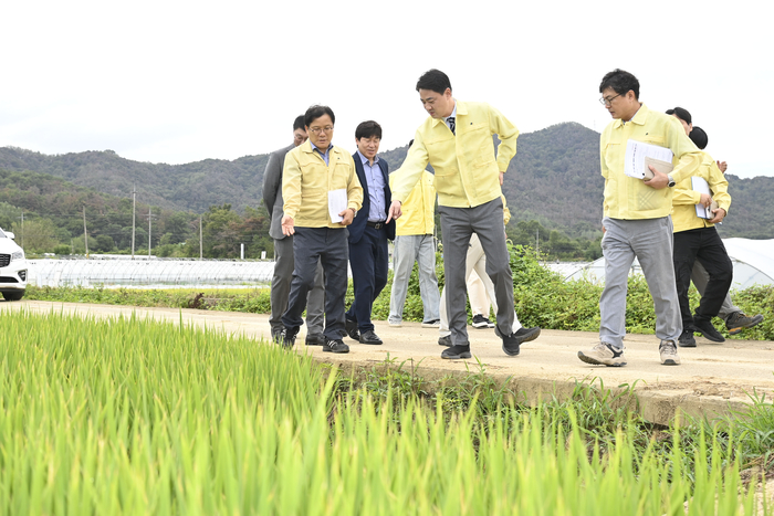 13일 대구 달성군 하빈면 대평리 농가를 찾은 최재훈 달성군수가 논을 둘러보며 가뭄에 따른 농업용수 공급 상황을 점검하고 있다. 달성군 제공