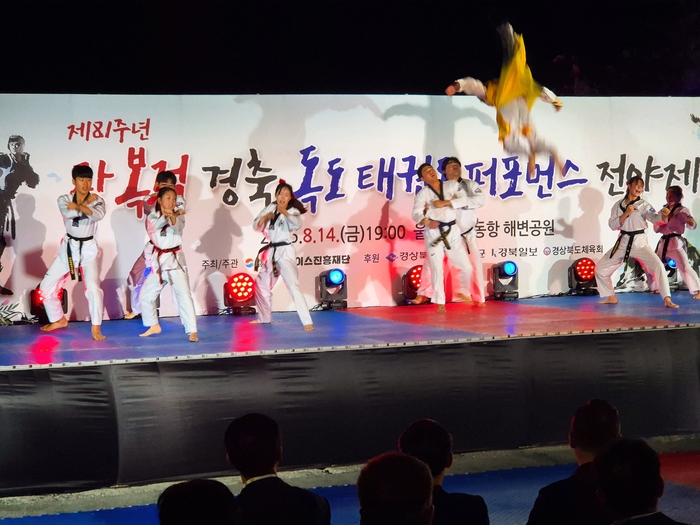 광복절을 하루 앞둔 지난 14일 밤, 경북 울릉군 도동항 해변공원이 태권도의 힘찬 기합과 관객들의 박수로 뜨거워 지고 있다. 홍준기 기자