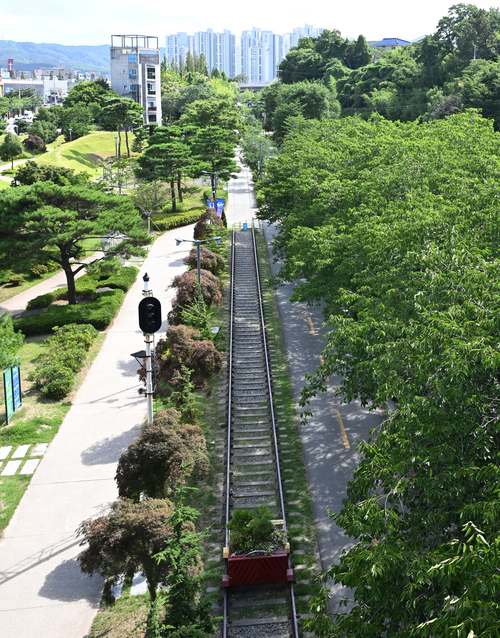 포항 철길숲. 2015년 4월, 포항역은 고속철도(KTX) 신설과 함께 포항시 북구로 이전했다. 이후 2018년 철길은 숲길로 변신했다.