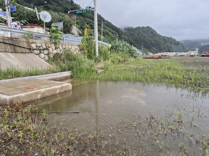 배수로가 설치된 주변에 물이 빠지지 않고 고여 있는 모습은 배수시설의 관리 상태를 단적으로 보여주고 있다. 홍준기 기자