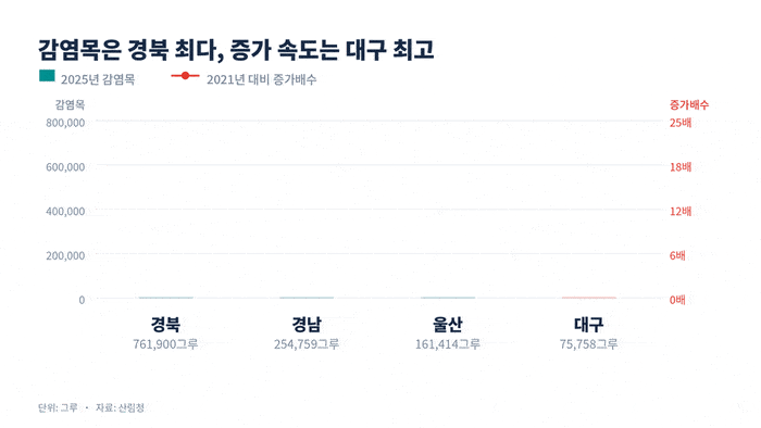 2025년 감염목은 경북이 76만1천900그루로 전국 최다다. 대구는 7만5천758그루로 2021년의 24.2배 늘어 증가 속도가 가장 빨랐다. 그래프=AI 클로드.