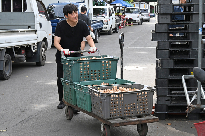 2일 오후 대구 북구 대구농수산물도매시장 농협 북대구공판장에서 최시웅 기자가 경매에서 낙찰받은 표고버섯을 옮기고 있다. 이윤호 기자