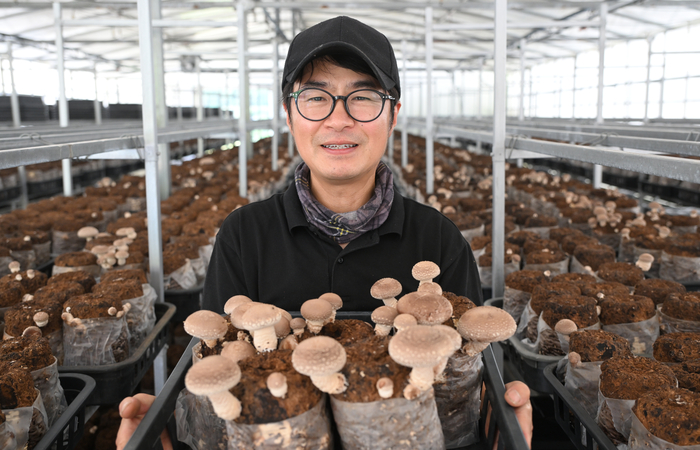 박건호 빛나는 버섯 대표가 농장에서 자라고 있는 표고버섯을 보여주고 있다. 자동차 관련 업계에서 일하던 서울 토박이 박 대표는 현재 스마트팜 하우스 7개동에서 버섯을 기르고 있다.
