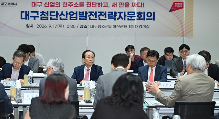 17일 대구창조경제혁신센터에서 열린 대구첨단산업발전전략자문회의 첫 회의에서 자문단 위원들이 의견을 개진하고 있다. 이승엽기자