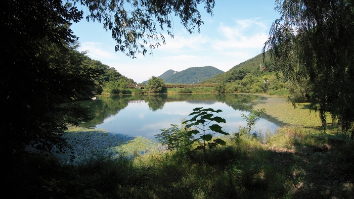 유학산에서 발원한 계류가 모여 발령지를 만든다. 수변 무장애 데크길이 놓여 있으며 한 바퀴는 약 385m다.